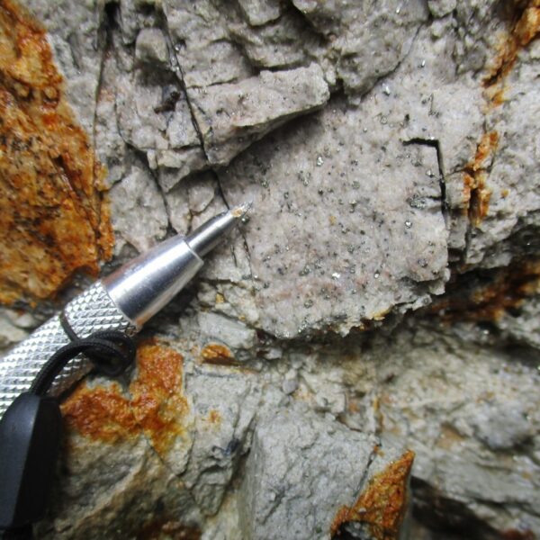 Diorite porphyritic intrusive with hypogene chalcopyrite from Mtn Gate prospect