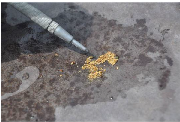 Coarse alluvial gold recovered by local prospectors